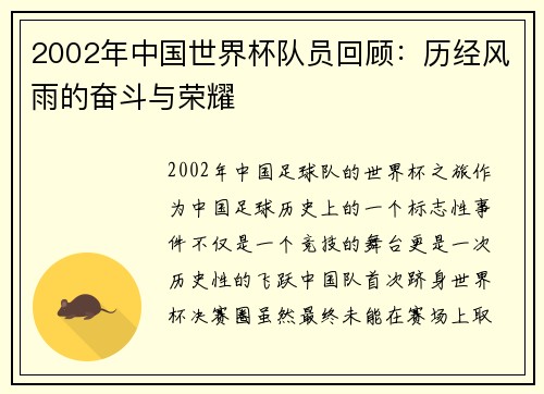 2002年中国世界杯队员回顾：历经风雨的奋斗与荣耀